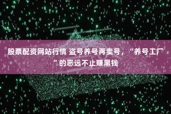 股票配资网站行情 盗号养号再卖号，“养号工厂”的恶远不止赚黑钱